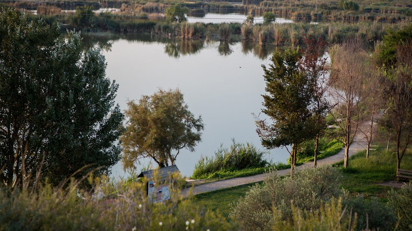 Els Estanys d'Almenara al capvespre